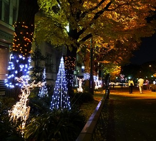 横浜イルミネーション2014！クリスマスの穴場デートコースはこれだ！02